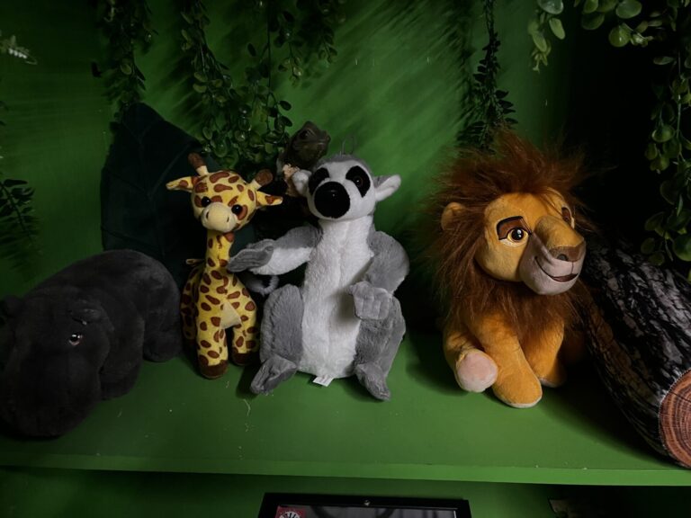 Madagaszkár