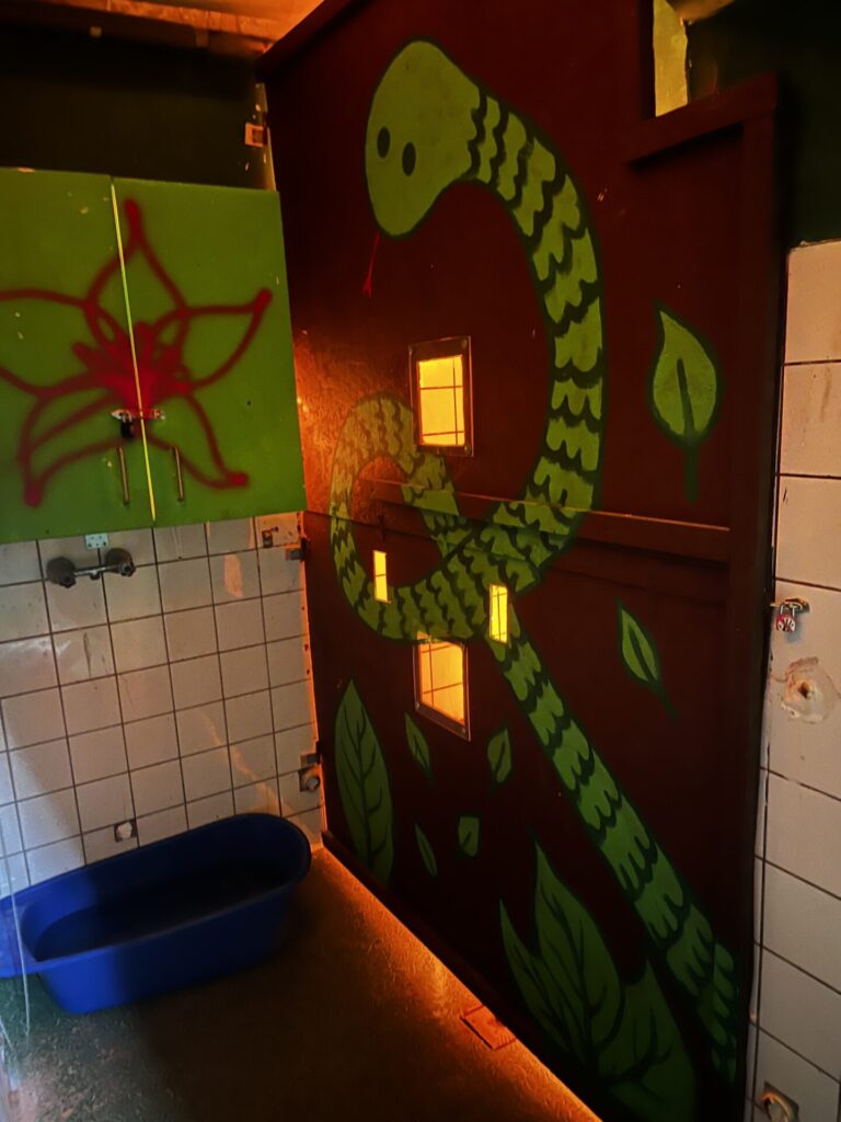 Madagaszkár